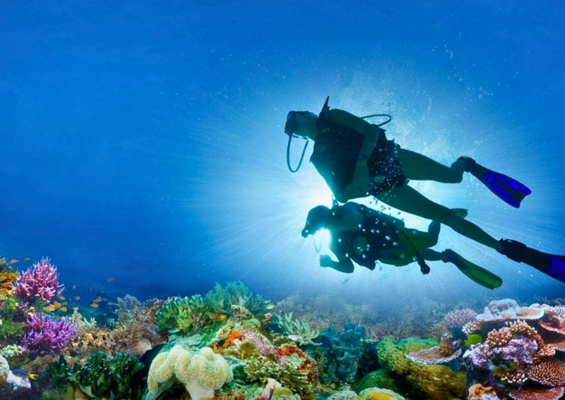 what to do in Ha Long Bay: Diving & Snorkels