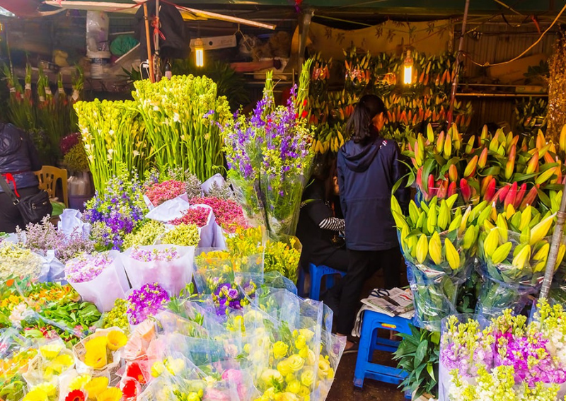 Hanoi cultural experiences: Quang An Flower Market