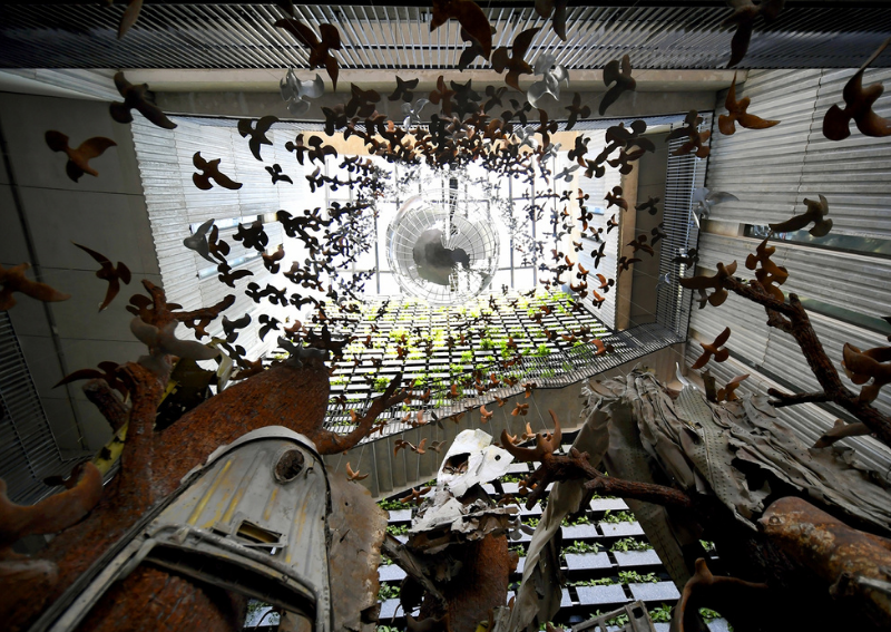 Hanoi museums and Hanoi relics you should never miss