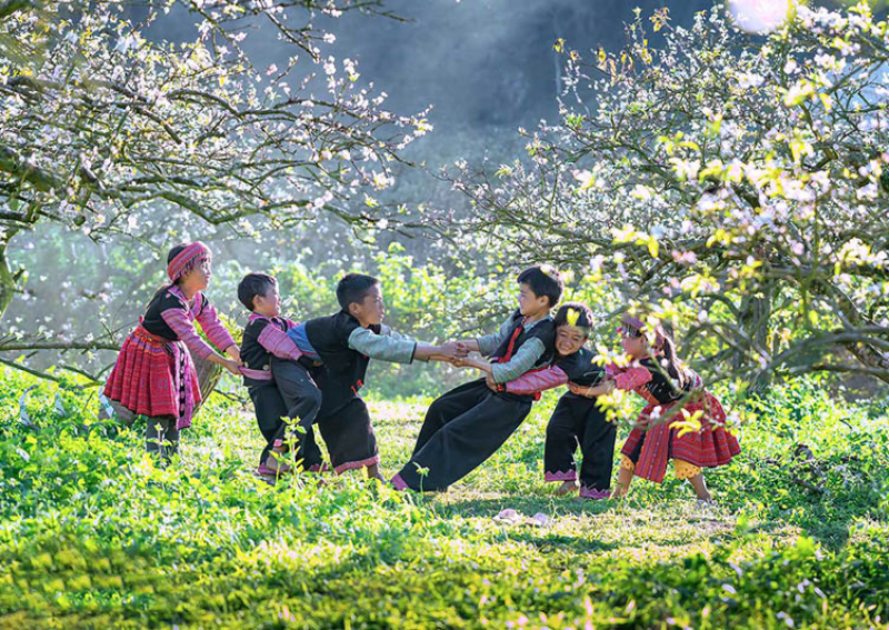Best time to visit Moc Chau