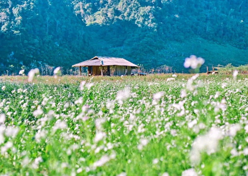 where is Moc Chau Vietnam?