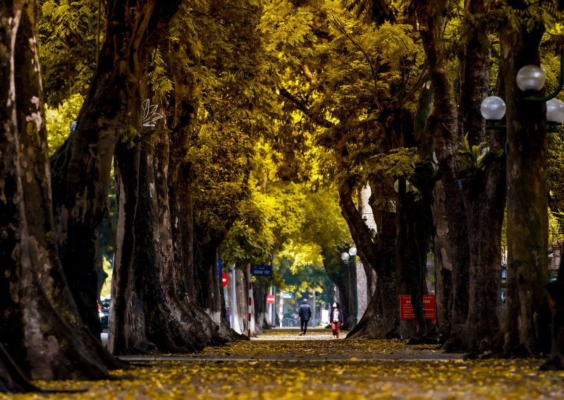 Hanoi Autumn 2026: Why September to November Is the Best Time to Visit the Capital