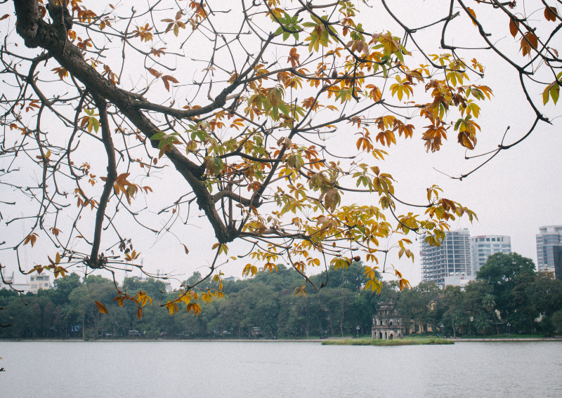 What the Weather Is Actually Like During Hanoi Seasons