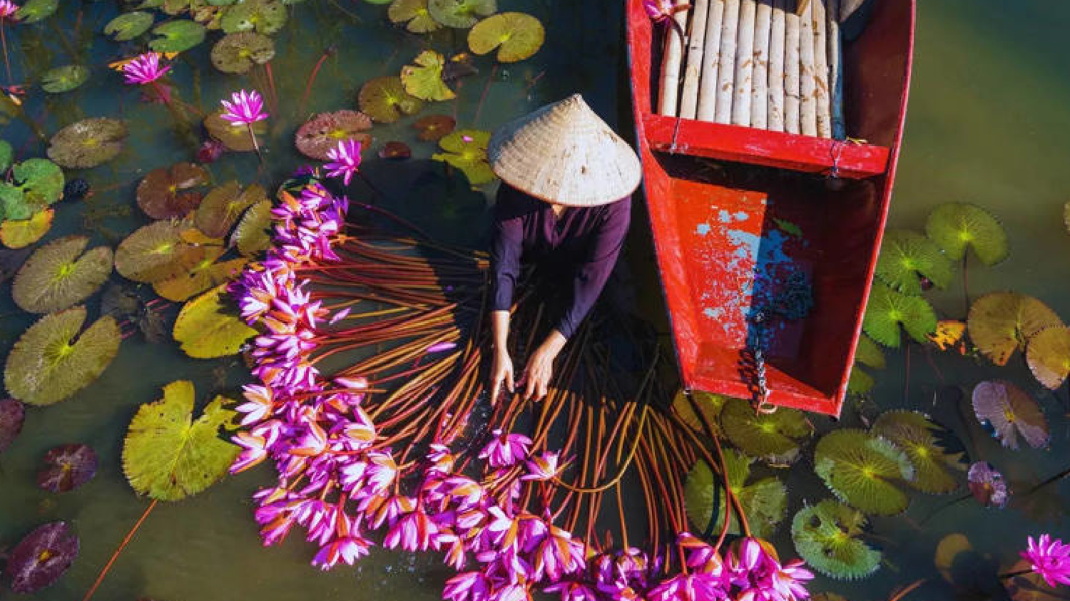 Weather in Hanoi: Summertime