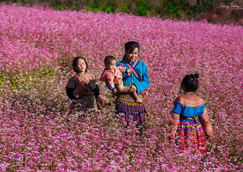 Best destination in Vietnam - Tam Giac Mach in Ha Giang Loop