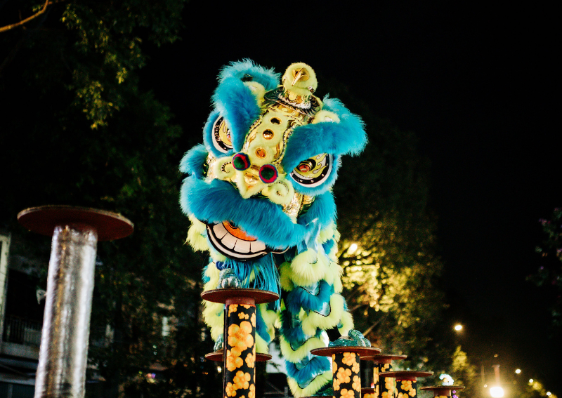 The Beauty of a Lion Dance Performance