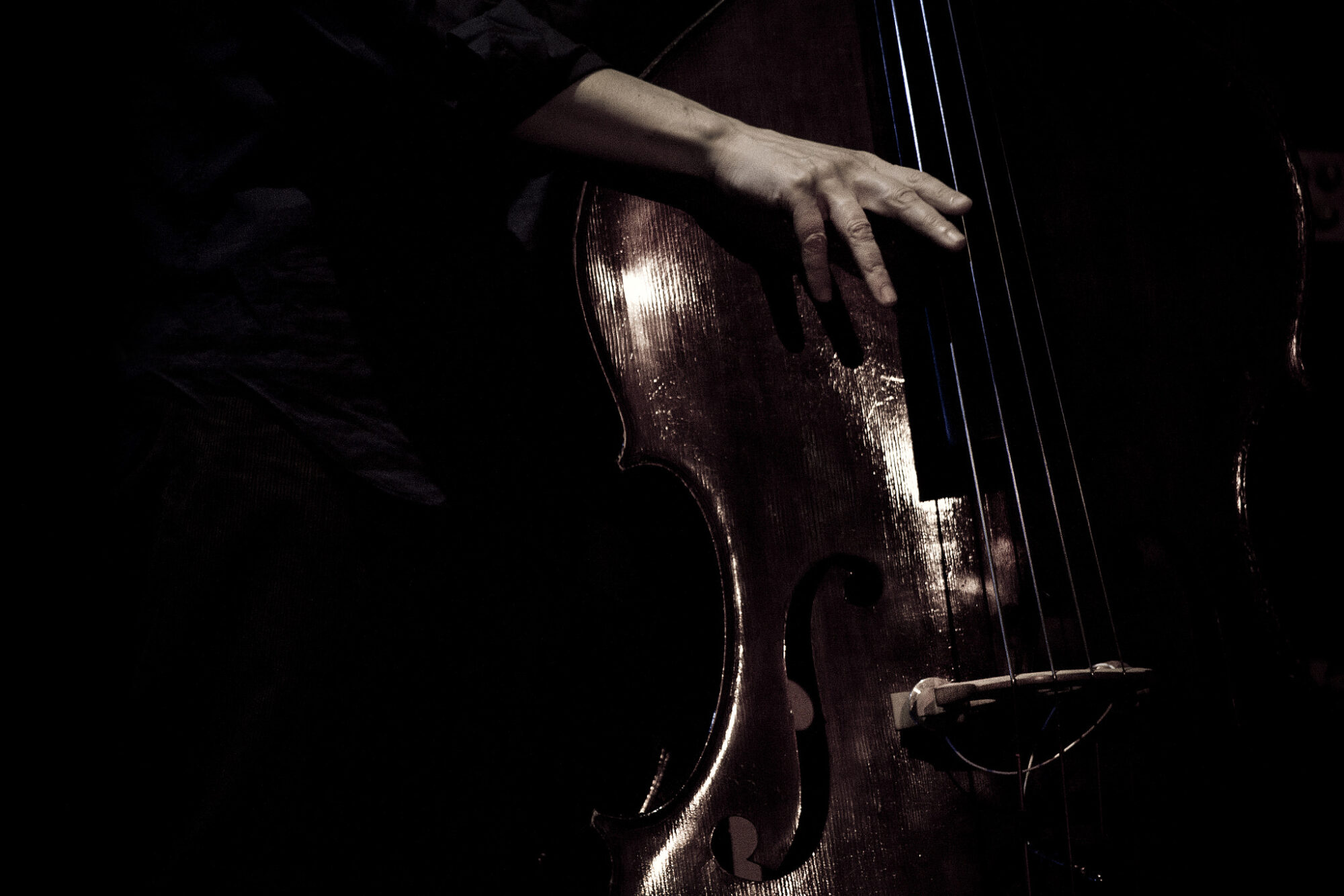 La Siesta Classic Ma May