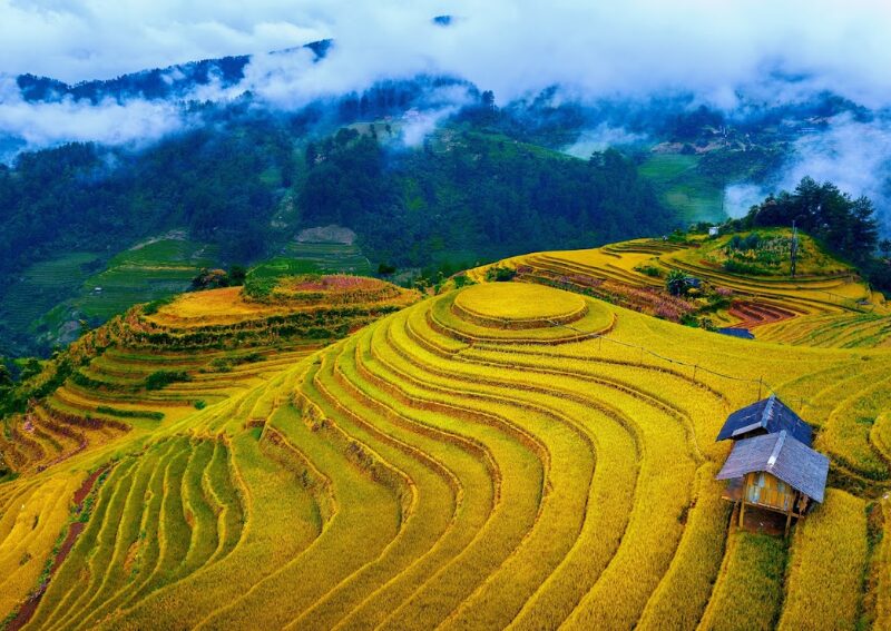 What to Do in Mu Cang Chai - Mam Xoi Hill