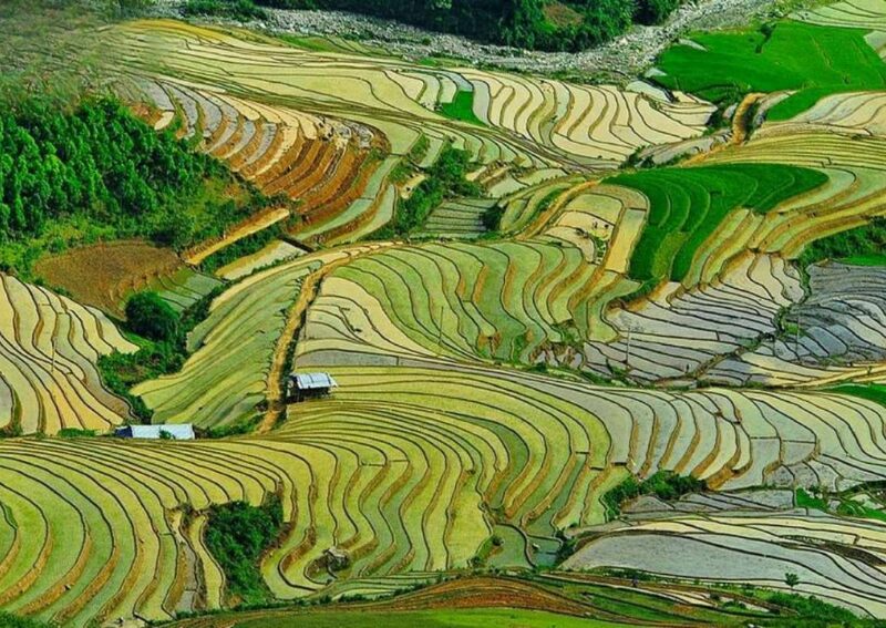 What to Do in Mu Cang Chai - Khau Pha Pass and Lim Mong Valley