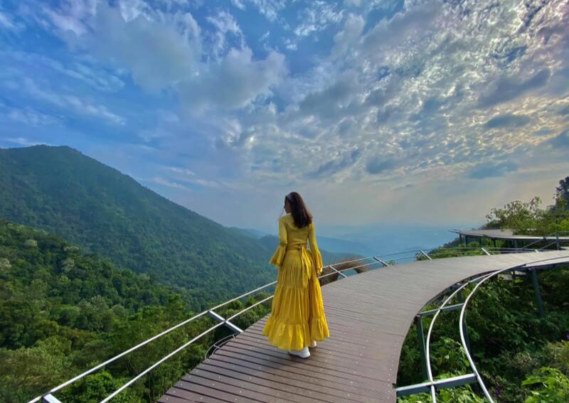 Top Things to See in Tam Dao - Cau May Cloud Bridge