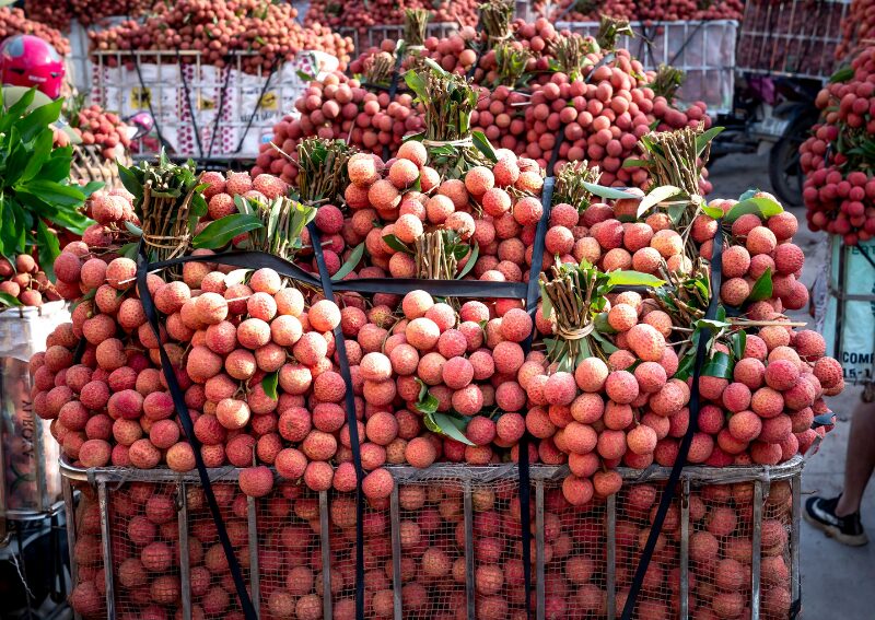 Lychee (Vải) -Vietnamese fruits you must try