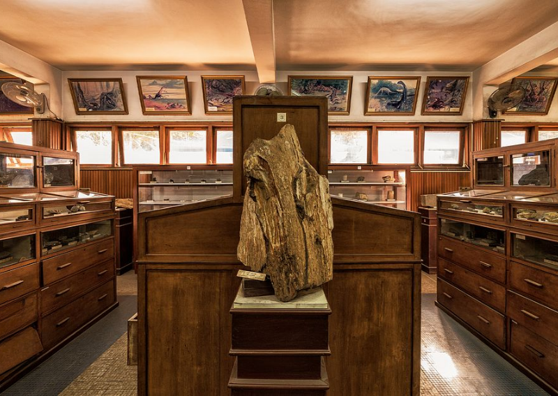 Things to do in Ho Chi Minh City - Geological Museum of Vietnam