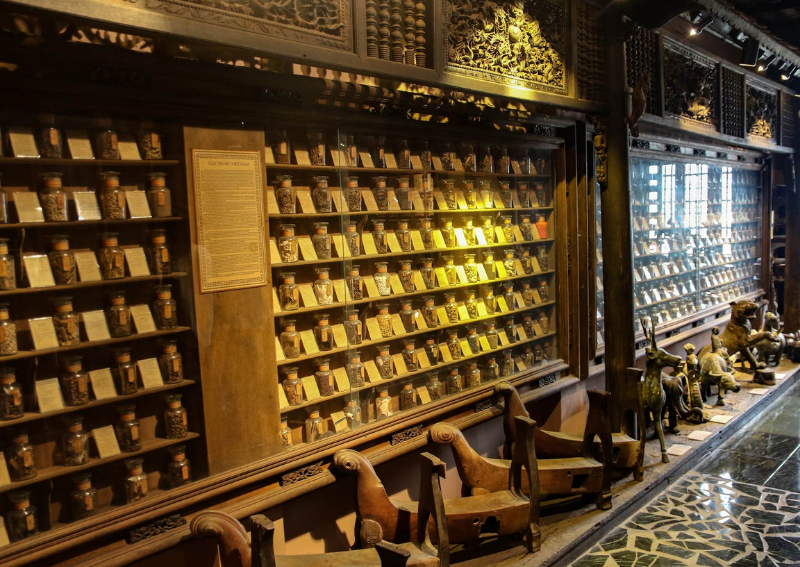 Cultural museums in Ho Chi Minh City - Museum of Traditional Vietnamese Medicine (Fito Museum)