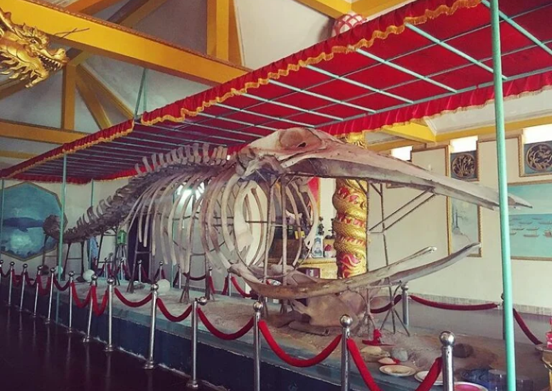 What to See in Vung Tau: Lang Ca Ong Temple