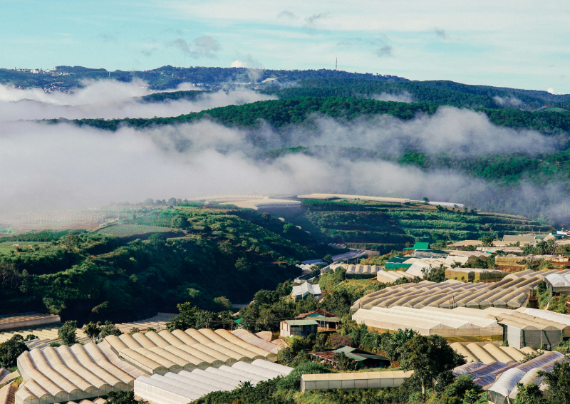 Best Time to Visit Dalat - Dalat Climate and Weather