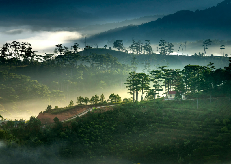 Dalat Vietnam: Vietnam's Alpine Escape That Feels Like a Corner of Provincial France 2026