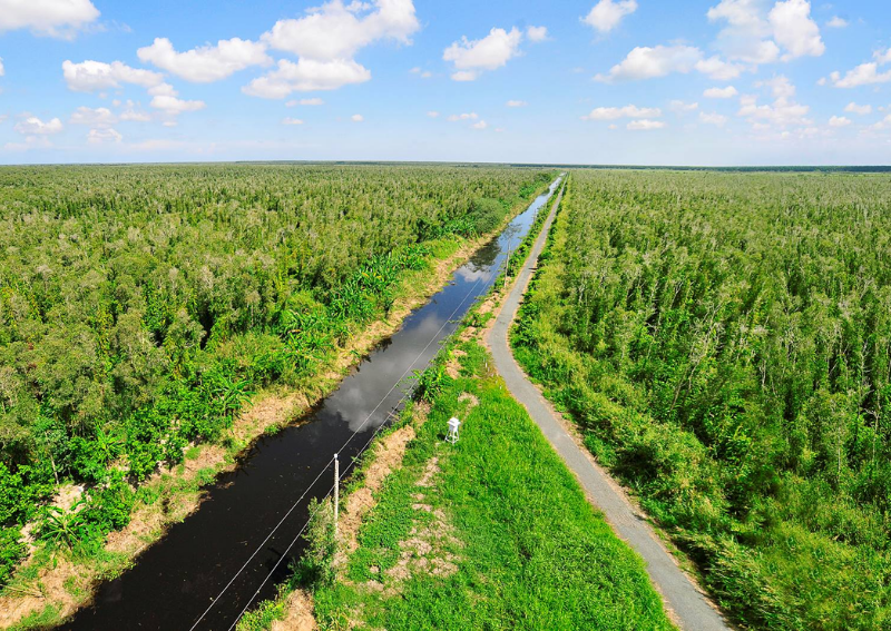 Places to Visit in Ca Mau Vietnam - U Minh Ha National Park