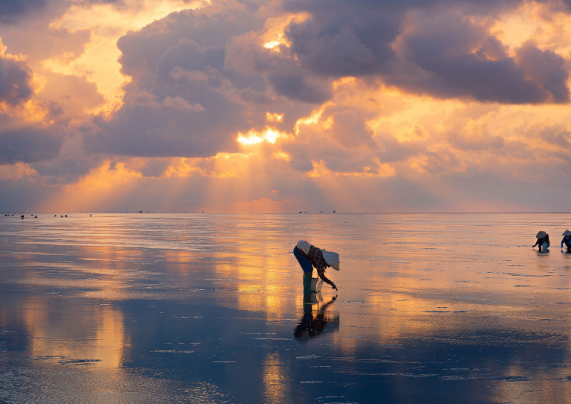 Best Time to Visit Ca Mau Vietnam