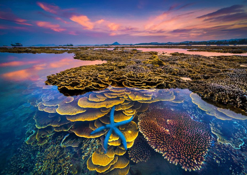 Places to Visit in Phu Yen - Hon Yen Islands
