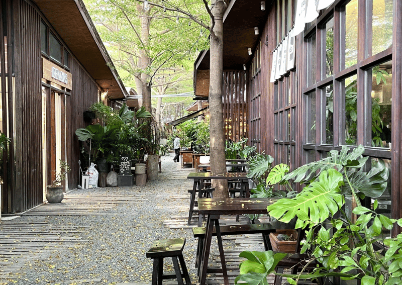 THE ULTIMATE GUIDE TO DISTRICT 2 SAIGON