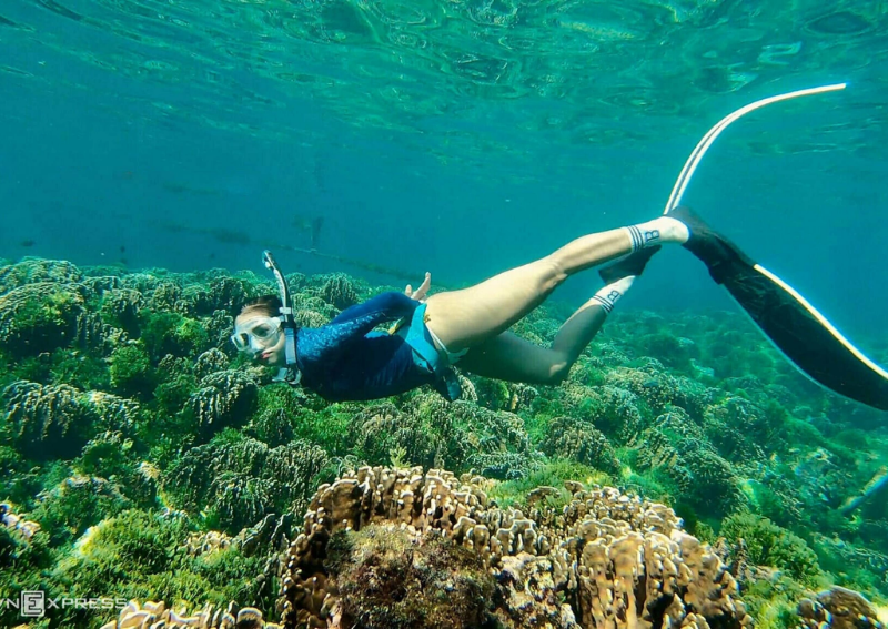 What to Do in Phu Quy Island - Phu Quy Snorkeling and Coral Exploration