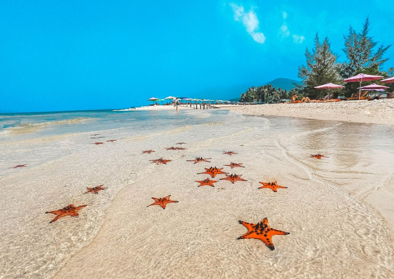 What to See in Phu Quoc: Starfish Beach and Ganh Dau
